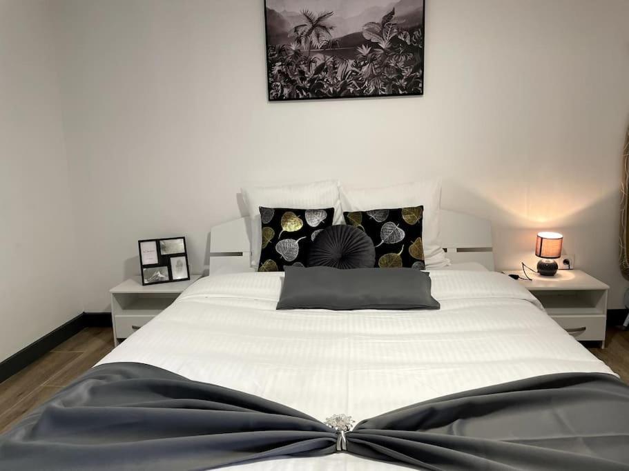 Appartement Douceur Dromoise Avec Montélimar